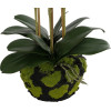 GloboStar Artificial Garden Butterfly Orchid Bonsai ������� ������������ ���� ������� �34 x �27 x �65cm - (21400)