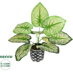 GloboStar Artificial Garden Caladium ������� ������������ ���� ������� ������� �40 x �33cm - (20889)