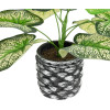 GloboStar Artificial Garden Caladium ������� ������������ ���� ������� ������� �40 x �33cm - (20889)
