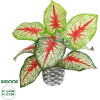GloboStar Artificial Garden Caladium ������� ������������ ���� ������� ���� ������� �40 x �33cm - (20891)