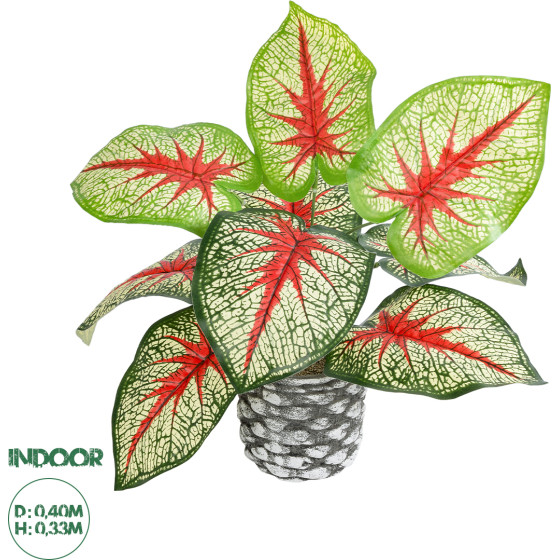 GloboStar Artificial Garden Caladium ������� ������������ ���� ������� ���� ������� �40 x �33cm - (20891)