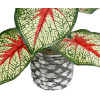 GloboStar Artificial Garden Caladium ������� ������������ ���� ������� ���� ������� �40 x �33cm - (20891)