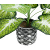 GloboStar Artificial Garden Caladium ������� ������������ ���� ������� ���� �40 x �33cm - (20890)