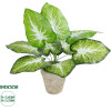 GloboStar Artificial Garden Caladium Potted Plant ������������ ���� ���������� �40 x �33cm - (20894)