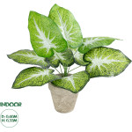 GloboStar Artificial Garden Caladium Potted Plant ������������ ���� ���������� �40 x �33cm - (20894)