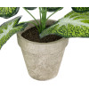 GloboStar Artificial Garden Caladium Potted Plant ������������ ���� ���������� �40 x �33cm - (20894)