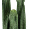 GloboStar Artificial Garden Carnegiea Cactus ������� ������������ ���� ������ ��������� �160cm - (20123)
