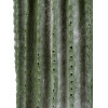 GloboStar Artificial Garden Carnegiea Cactus ������� ������������ ���� ������ ��������� �70cm - (20124)
