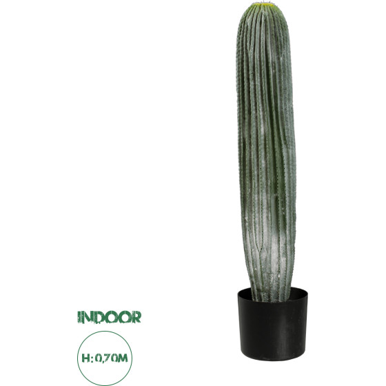 GloboStar Artificial Garden Carnegiea Cactus ������� ������������ ���� ������ ��������� �70cm - (20124)