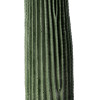 GloboStar Artificial Garden Carnegiea Cactus ������� ������������ ���� ������ ��������� �85cm - (20125)