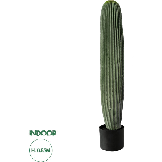 GloboStar Artificial Garden Carnegiea Cactus ������� ������������ ���� ������ ��������� �85cm - (20125)