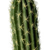 GloboStar Artificial Garden Cereus Jamacaru Cactus ������� ������������ ���� ������ ������ �110cm - (20120)