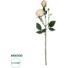 GloboStar Artificial Garden Champagne Damask Climbing Rose Branch ������� ������������ ����� ������������ ��������� Y55cm - (21198)