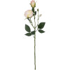 GloboStar Artificial Garden Champagne Damask Climbing Rose Branch ������� ������������ ����� ������������ ��������� Y55cm - (21198)