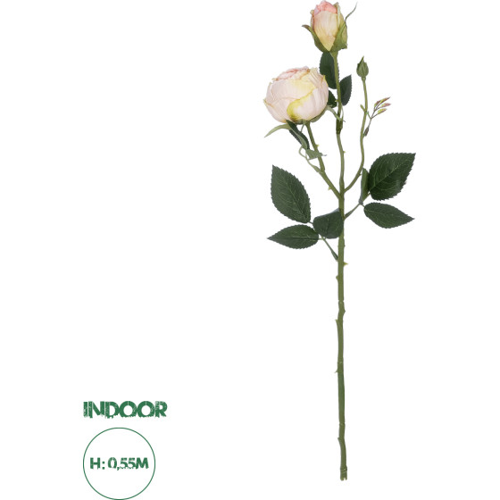 GloboStar Artificial Garden Champagne Damask Climbing Rose Branch ������� ������������ ����� ������������ ��������� Y55cm - (21198)