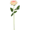 GloboStar Artificial Garden Champagne Rose Branch ������� ������������ ����� ��������� ������������ Y50cm - (21141)