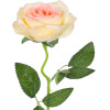 GloboStar Artificial Garden Champagne Rose Branch ������� ������������ ����� ��������� ������������ Y50cm - (21141)