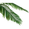 GloboStar Artificial Garden Coconut Palm Tree ������� ������������ ���� ������������� ������������ �250cm - (20088)