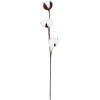GloboStar Artificial Garden Cotton Branch ������� ������������ ����� ������� �43cm - (20493)