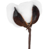 GloboStar Artificial Garden Cotton Branch ������� ������������ ����� ������� �43cm - (20493)