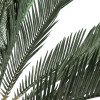 GloboStar Artificial Garden Cycads ������� ������������ ���� ��������� ����� �120cm - (20022)
