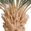 GloboStar Artificial Garden Cycads ������� ������������ ���� ��������� ����� �120cm - (20022)