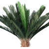 GloboStar Artificial Garden Cycads ������� ������������ ���� ��������� ����� �140cm - (20023)