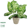 GloboStar Artificial Garden Dieffenbachia Potted Plant ������������ ���� ����������� �40 x �33cm - (20897)