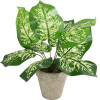 GloboStar Artificial Garden Dieffenbachia Potted Plant ������������ ���� ����������� �40 x �33cm - (20897)