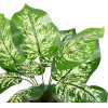 GloboStar Artificial Garden Dieffenbachia Potted Plant ������������ ���� ����������� �40 x �33cm - (20897)