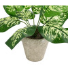 GloboStar Artificial Garden Dieffenbachia Potted Plant ������������ ���� ����������� �40 x �33cm - (20897)
