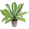 GloboStar Artificial Garden Dracaena Potted Plant ������������ ���� ������� �40 x �33cm - (20907)