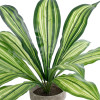 GloboStar Artificial Garden Dracaena Potted Plant ������������ ���� ������� �40 x �33cm - (20907)