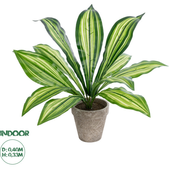GloboStar Artificial Garden Dracaena Potted Plant ������������ ���� ������� �40 x �33cm - (20907)