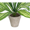 GloboStar Artificial Garden Dracaena Potted Plant ������������ ���� ������� �40 x �33cm - (20907)