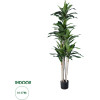 GloboStar Artificial Garden Dracaena Silk - ������� ������������ ���� �������� �170cm - (20044)