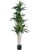 GloboStar Artificial Garden Dracaena Silk - ������� ������������ ���� �������� �170cm - (20044)