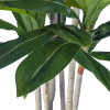 GloboStar Artificial Garden Dracaena Silk - ������� ������������ ���� �������� �170cm - (20044)