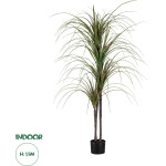 GloboStar Artificial Garden Dragon Blood Tree - ������� ������������ ���� �������� �150cm - (20015)