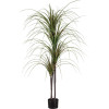 GloboStar Artificial Garden Dragon Blood Tree - ������� ������������ ���� �������� �150cm - (20015)