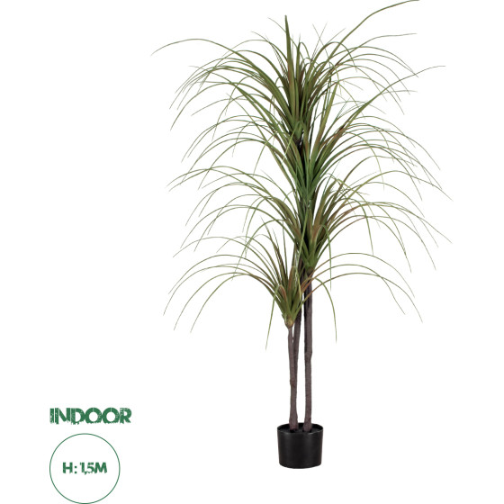 GloboStar Artificial Garden Dragon Blood Tree - ������� ������������ ���� �������� �150cm - (20015)