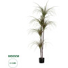 GloboStar Artificial Garden Dragon Blood Tree - ������� ������������ ���� �������� �180cm - (20016)