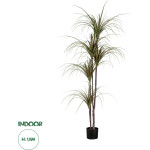 GloboStar Artificial Garden Dragon Blood Tree - ������� ������������ ���� �������� �180cm - (20016)