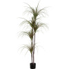 GloboStar Artificial Garden Dragon Blood Tree - ������� ������������ ���� �������� �180cm - (20016)