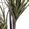 GloboStar Artificial Garden Dragon Blood Tree - ������� ������������ ���� �������� �180cm - (20016)