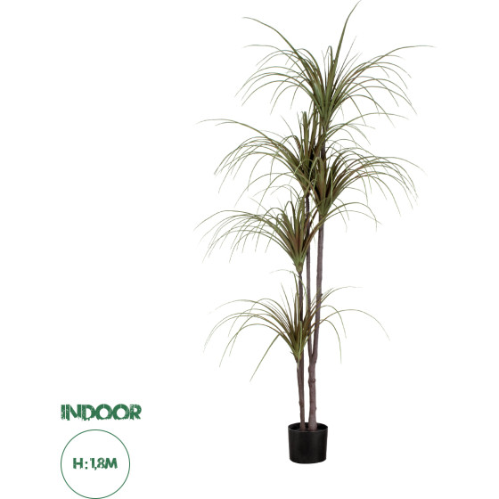GloboStar Artificial Garden Dragon Blood Tree - ������� ������������ ���� �������� �180cm - (20016)