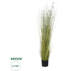 GloboStar Artificial Garden Eriophorum Angustifolium Cotton Grass ������� ������������ ���� ������� ��� ��������� �150cm - (20073)