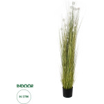 GloboStar Artificial Garden Eriophorum Angustifolium Cotton Grass ������� ������������ ���� ������� ��� ��������� �170cm - (20074)