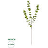 GloboStar Artificial Garden Eucalyptus Branch ������� ������������ ����� ���������� ������� �30 x �30 x �80m - (20484)