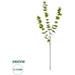 GloboStar Artificial Garden Eucalyptus Branch ������� ������������ ����� ���������� ������� �30 x �30 x �80m - (20484)